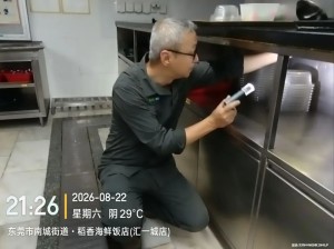 新·分享 | 餐廳消殺避坑！選合規消殺公司認準3點