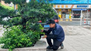 東莞蚊媒綠色防制標桿“石鼓模式”首個復制落地石龍